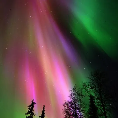 Lapland Northern Lights Ilveslinna Ranua