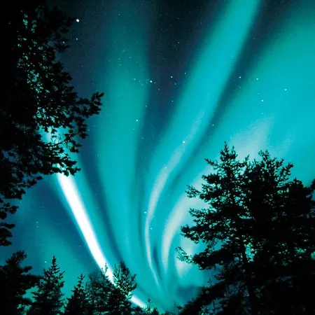 Lapland Northern Lights Ilveslinna Ranua