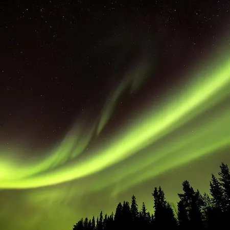 Lapland Northern Lights Ilveslinna Hotel Ranua