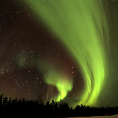 Lapland Northern Lights Ilveslinna Ranua