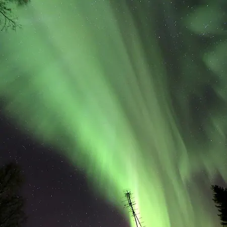 Lapland Northern Lights Ilveslinna Hotel
