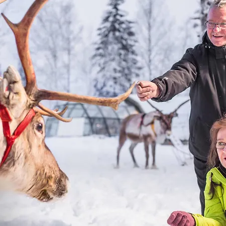 Hotel Lapland Northern Lights Ilveslinna Ranua