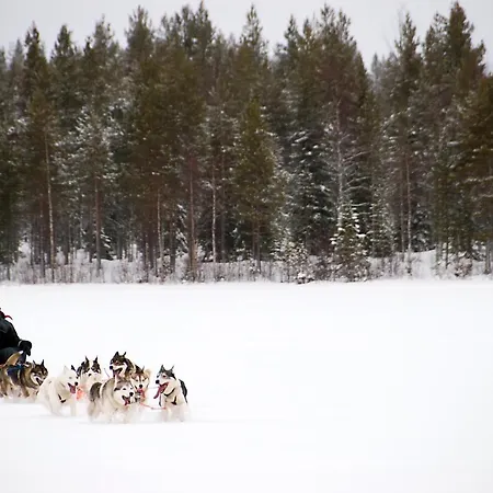 Lapland Northern Lights Ilveslinna 3* Ranua