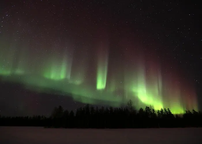 Отель Lapland Northern Lights Ilveslinna 3*