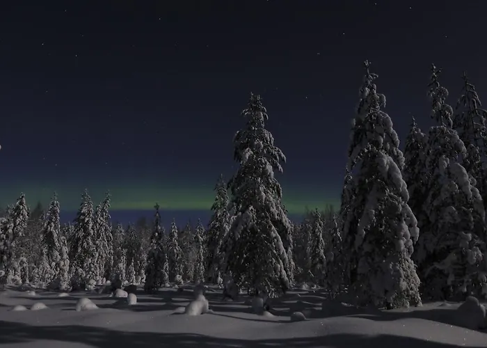 Lapland Northern Lights Ilveslinna Отель 3*