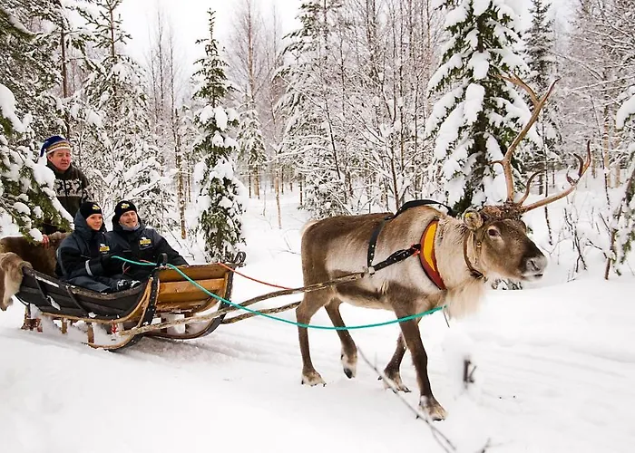 Lapland Northern Lights Ilveslinna 3* Рануа