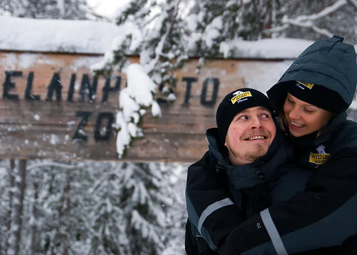 Lapland Northern Lights Ilveslinna