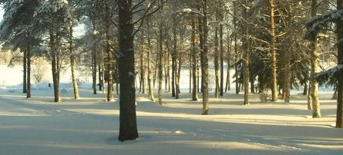 Lapland Northern Lights Ilveslinna