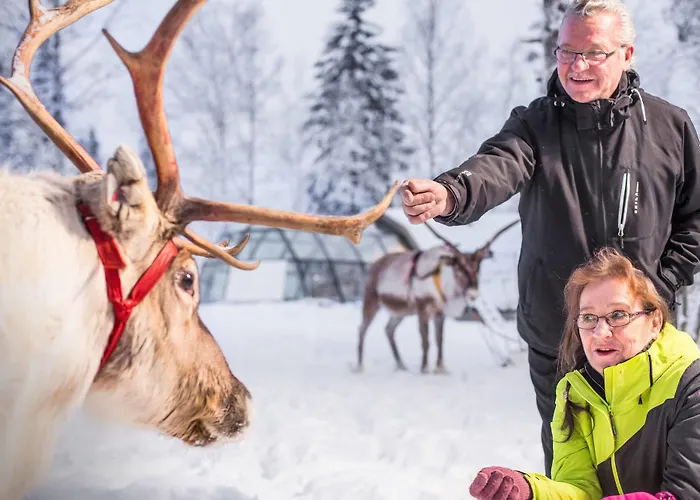 Отель Lapland Northern Lights Ilveslinna Рануа