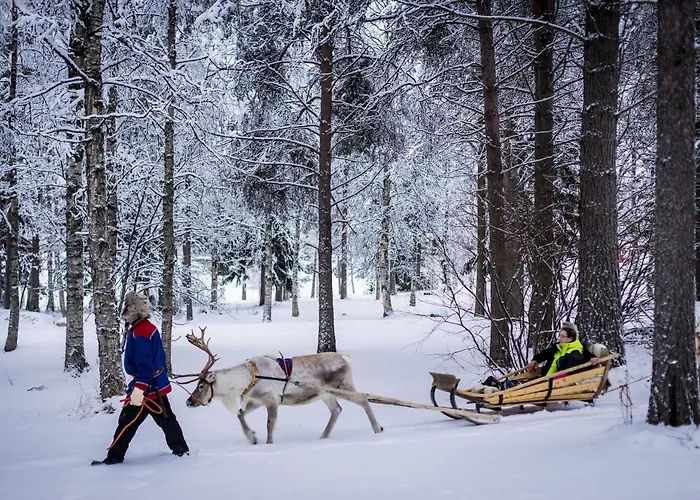 Lapland Northern Lights Ilveslinna Рануа
