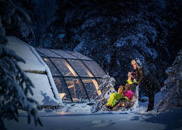 Lapland Northern Lights Ilveslinna 3*