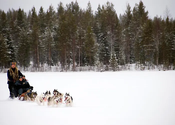 Lapland Northern Lights Ilveslinna 3* Рануа